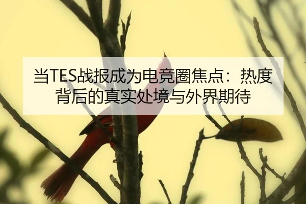 当TES战报成为电竞圈焦点：热度背后的真实处境与外界期待